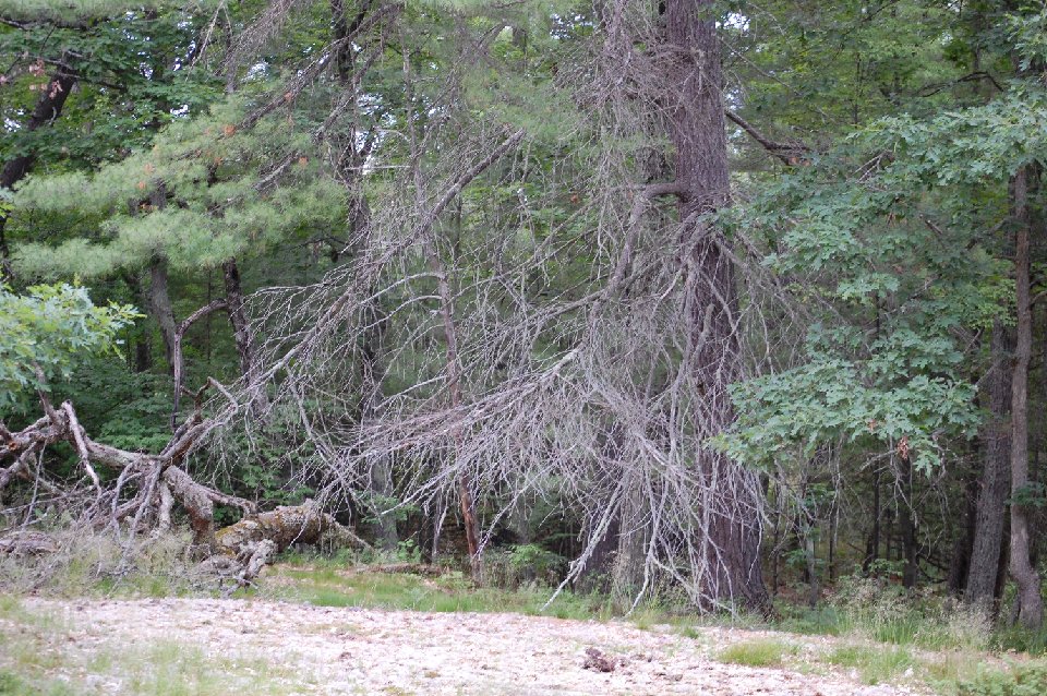 SUMMER2010- (65)